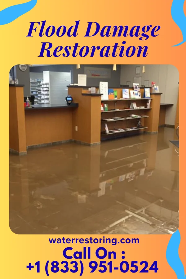 Flood Damage Restoration in Lake Jackson, TX