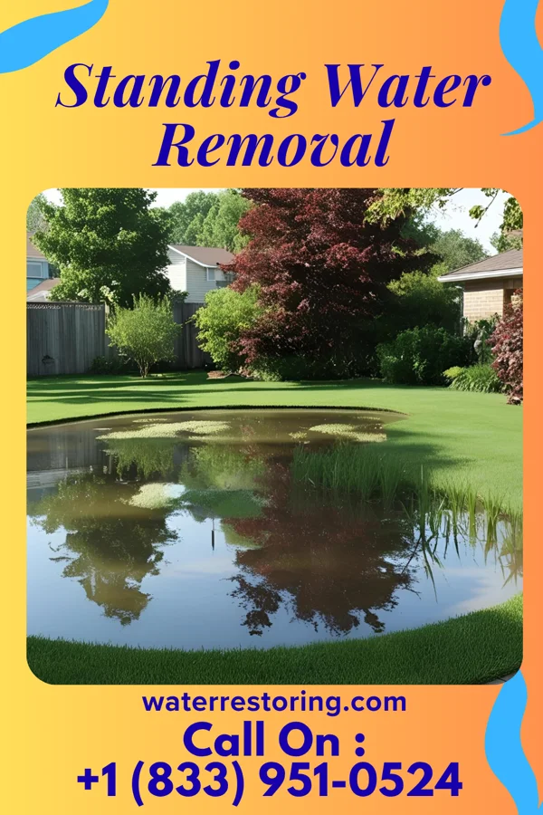 Standing Water Removal in Lake Jackson, TX